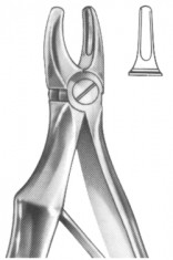Extracting Forceps English pattern